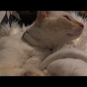 Meet your Posher, Madison